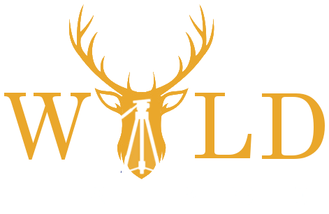 Wild Tripod