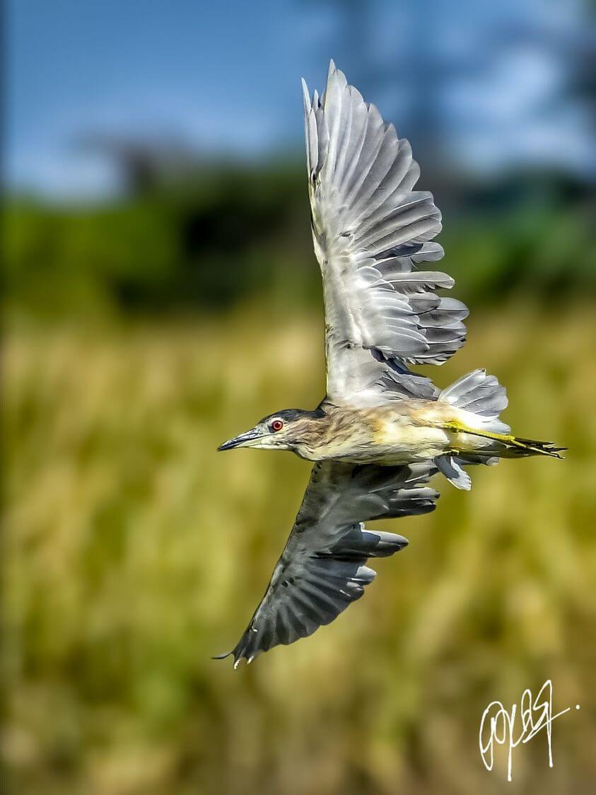 Click by Thamizhselvan Muthulingam