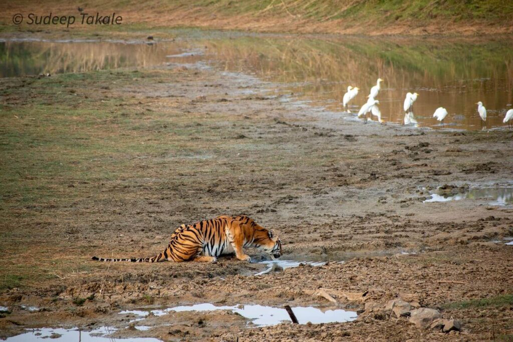 Click by Sudeep Satish Takale