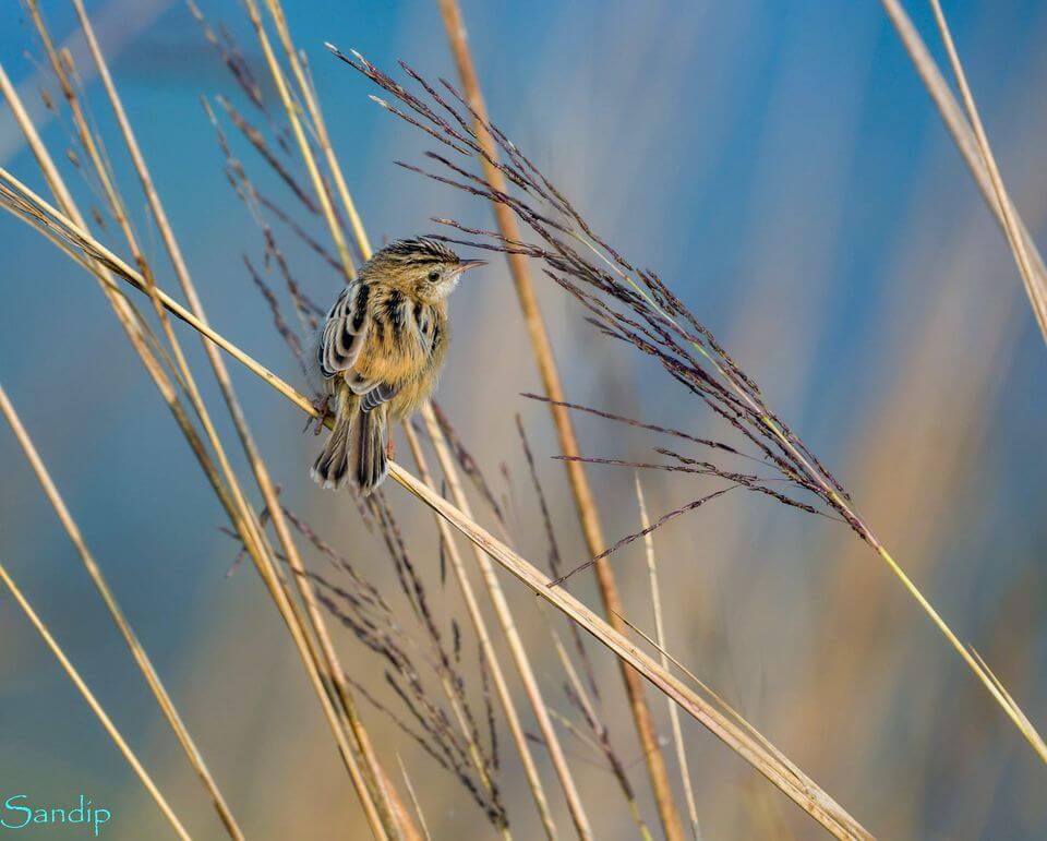 Click by Sandip Chakraborty