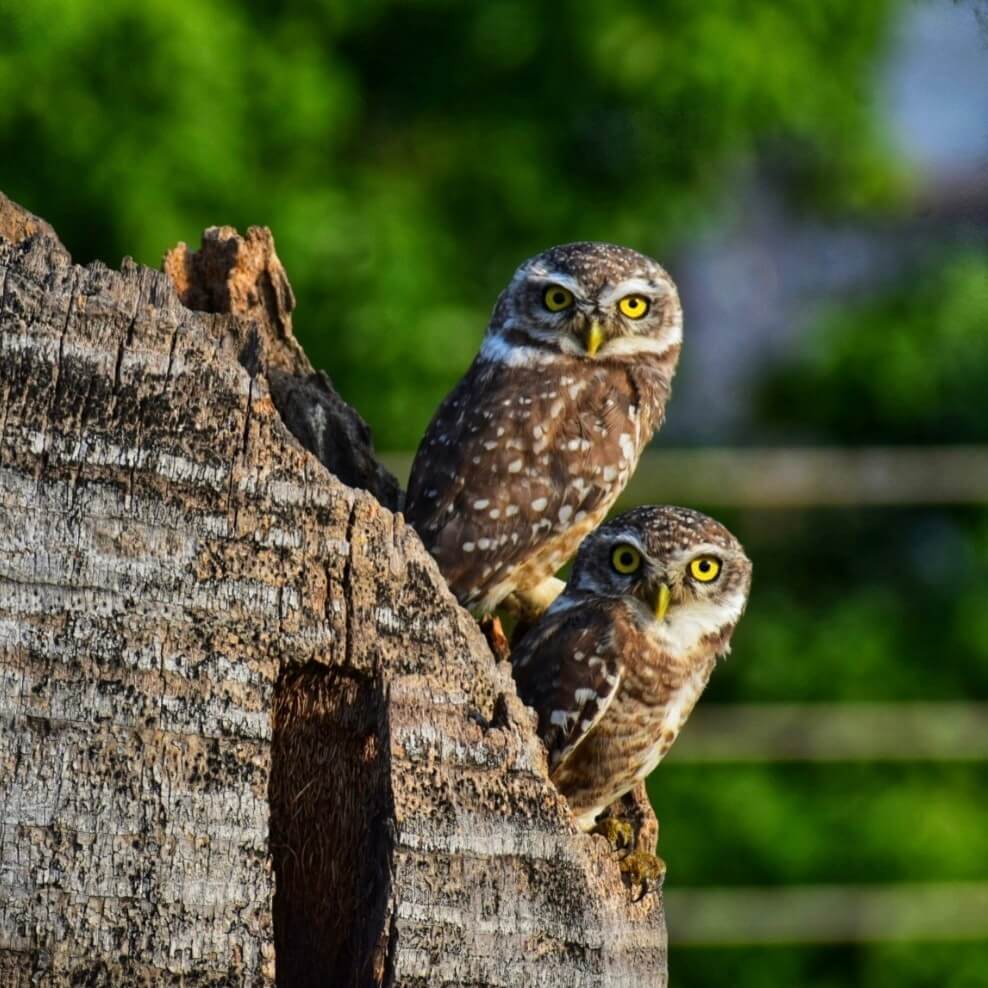 Click by Vaidya Ketan Mahajan