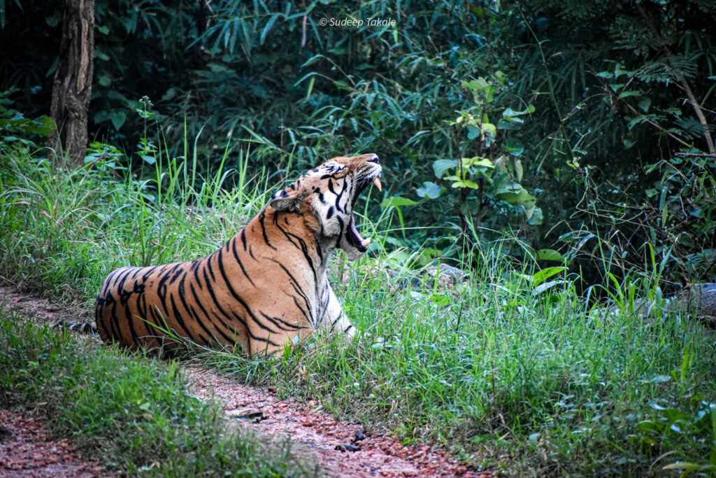 Click by Sudeep Satish Takale